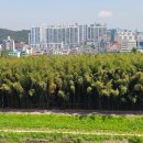 오산10리 이미지