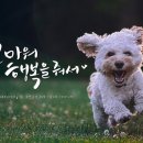 정메디 이미지