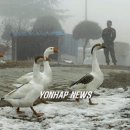 정서농장 이미지