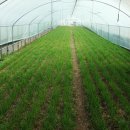 늘푸른건강마을 이미지