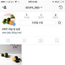 제주하늘빛농원