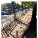 마실 수(SOO) | 러닝벨트 할인 카르닉 나이키 스포벨 28% 핫딜 마라톤 후기