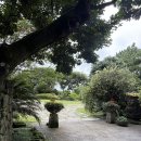 차박사카서비스 | 제주중문호텔 씨에스호텔앤 리조트 내돈내산 후기 디럭스룸, 씨에스호텔 조식