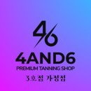 포춘식스