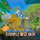 하와이새우트럭송도점 | 하와이 새우트럭 지오반니 말고 로라이모네 위치 메뉴