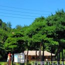 부곡1리 경로당 이미지