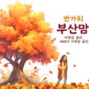 보림초 이미지