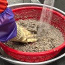 홍여사추어탕 이미지