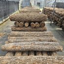 형지농장 이미지