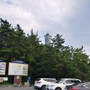 완도초등학교 앞 | 남해안 자전거 여행 1구간 - 진도군 진도항부터 완도군 완도여객선터미널까지