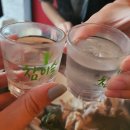 여기서한잔해요 이미지