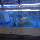 백제수산 이미지
