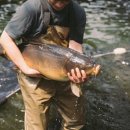 난이식당 이미지