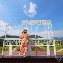 생림딴섬생태공원(드론연습장) 티스토리