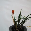 성산아트홀 이미지