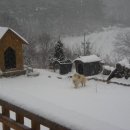 햇살찬농장 이미지