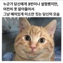 5월 미국 여행