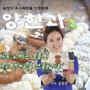 김양현한과