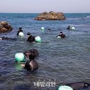 무창포어촌체험휴양마을 이미지