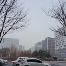 탑 부동산공인중개사사무소 이미지