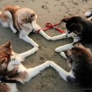 삼성상사 이미지