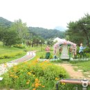 용문산 관광지 이미지