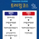 달빛 고래 트레킹 이미지