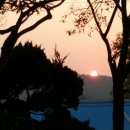 순옥농장 이미지