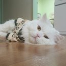 태산농장1 이미지