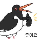 안면도쥬라기박물관 이미지