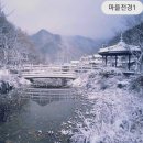 보나팜영농조합 이미지