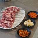 태양부양꼬치 이미지