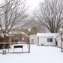 쉴만한 물가 민박 이미지