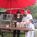 아롱이다롱이 이미지