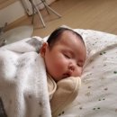 지유네 이미지
