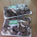 경현농장 이미지