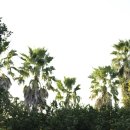 부영농장 이미지