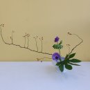 (주)피움그린 이미지