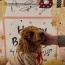 하우농장 이미지