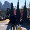 상하초등학교 | 청주 분위기 좋은 카페 추천 | 두쫀쿠맛집 투더문 내돈내산 후기