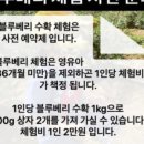 농부보따리 이미지