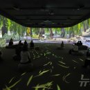 고양이 하루 이미지