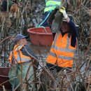 가래치기 이미지