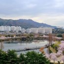 정도행정사 네이버블로그