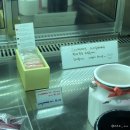 구로-구로-구로-3023 | 2호선) 홍대 연남동 수제 빼빼로/수제초콜릿 전문점 ‘라온디’ 에서 수능 선물하세요💝