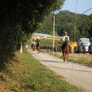 금산목장 이미지