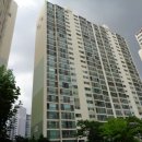 사파동310 이미지