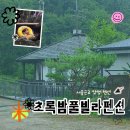(주)초록느낌 | 10개월 아기와 다녀온 양평키즈펜 초록밤풀빌라펜션 솔직후기