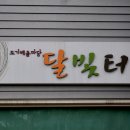 도기도기 이미지