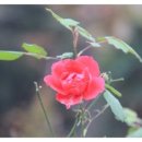 (주)고기박사들 이미지